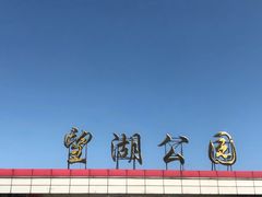 -望湖公园