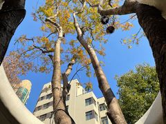 -徐家汇源景区-衡山公园