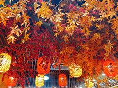 大堂-金杨拉面王小吃面馆·牛三宝面·红烧牛肉粉
