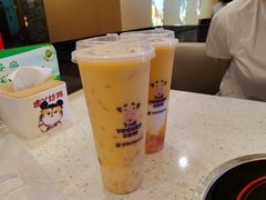 -一只酸奶牛(曲江龙湖星悦荟店)