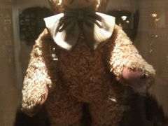 android_upload_pic-济州岛泰迪熊博物馆