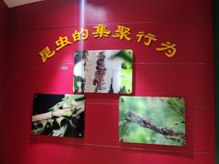 -上海昆虫博物馆