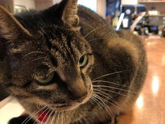 -PAUSE CAFE(南秀村店)