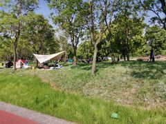 -上海山野camping·户外天幕烧烤·团建拓展营地