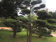 -北海道厅旧本厅舍(旧本庁舎)