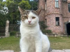 -中旅阿那亚九龙湖·公主酒店