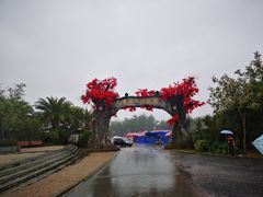 -天适樱花悠乐园