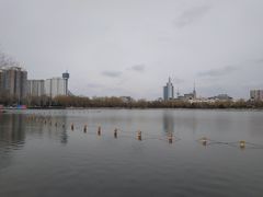 -莲花池公园