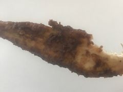 -大学路8号炸串(大学路十四号院店)