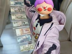 -鸭绿江中朝界河游船(1号观光码头)