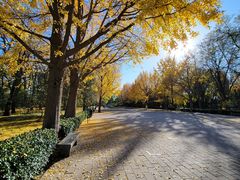 -玲珑塔公园