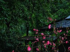 -桃花涧