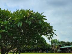 -侯臣咖啡文化村