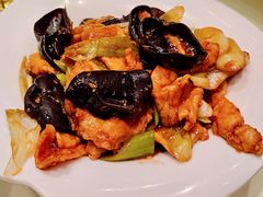 -凯鸽酒楼(大同振兴街店)