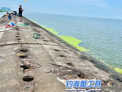 -东疆建设开发纪念公园