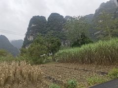 -明仕田园