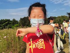 -杨梅红艺术教育(百花教学中心)