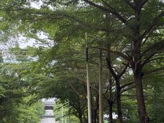 -黄埔油麻山森林公园