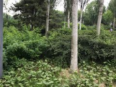 -河北省园博园