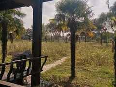 -上膳源有机农场