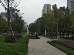 -龙头寺公园