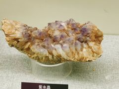 -甘肃地质博物馆