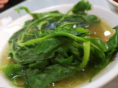 豌豆尖-崇州余荞面(落虹桥店)