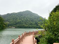 -桃花岭景区