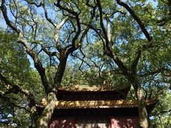 -普陀山风景名胜区-法雨禅寺