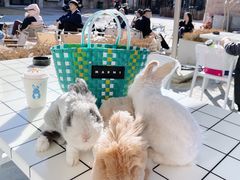 -小意思咖啡店(草桥店)