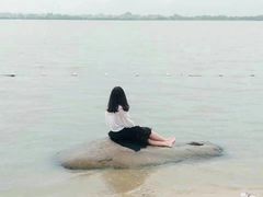 -瑶湖郊野森林公园