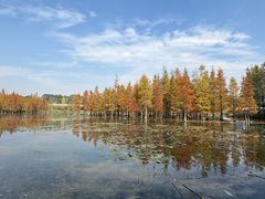 -白鹭湾湿地公园