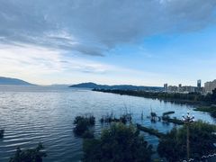 -野菌皇海景野生菌火锅(滨海大道店)