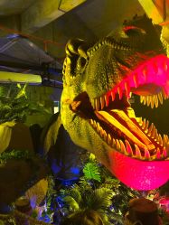 -恐龙探索乐园(磁器口店)