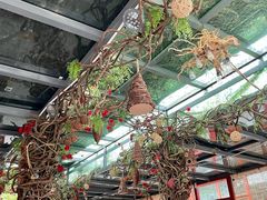-有喜胶东小馆(超极合生汇太申祥和店)