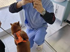 -艾吉宠物医院·疑难杂症转诊中心·猫友好(碧江路院)