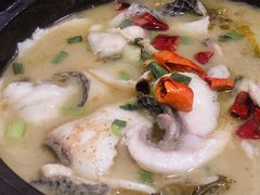 酸菜黑鱼煲-阿隆煲店(秀仁苑店)