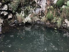 -遂昌金矿国家矿山公园