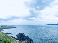 -济州森林小火车生态公园