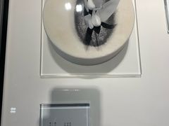-BLACKSWAN黑天鹅(环球店)