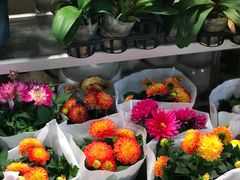 -双季花艺园艺市场(浦东店)