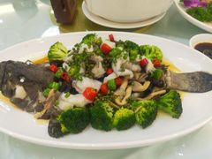 -泉龙渔村·粤式早茶·金牌烧鹅(中山三乡店)