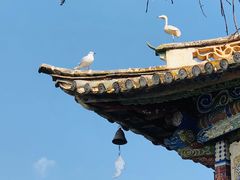 -小普陀