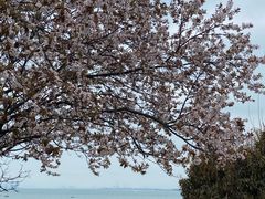 -青岛第一海水浴场