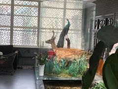 -华源足浴棋牌SPA