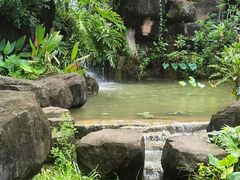 -广州神农草堂中医药博物馆