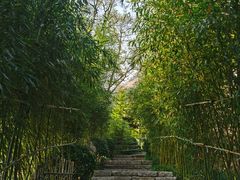 -竹子庵公园