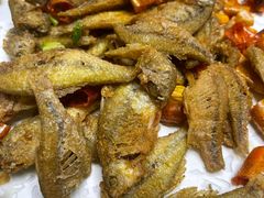 -张鸟园农家乐(张鸟园店)