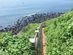 火山岩-硇洲岛旅游区