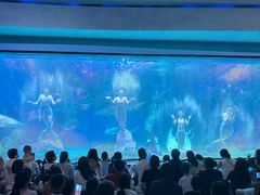 -海合安成都极地海洋公园